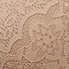 Bellissima Lace Push-up Bra